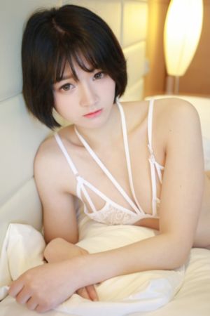 情事 2014_高清免费观看电视剧