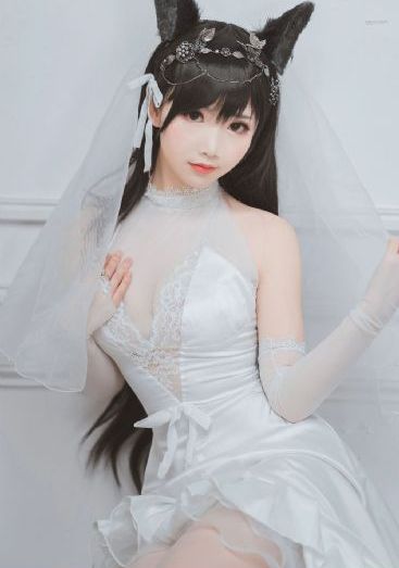 白色橄榄树 电视剧_4K高清在线观看